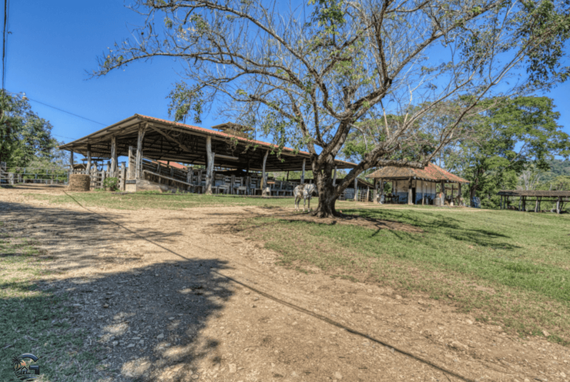 Screenshot 2024-02-05 at 09.44.12