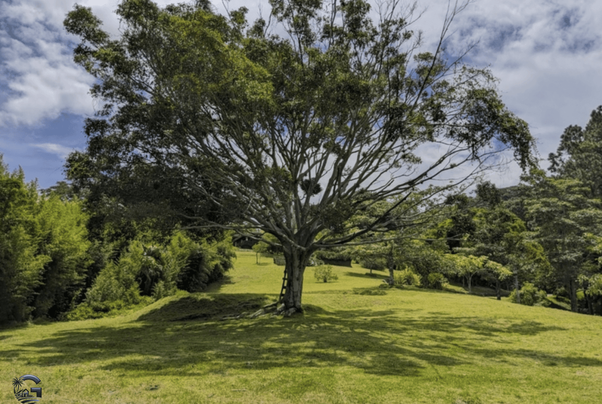 Screenshot 2024-02-05 at 09.56.55