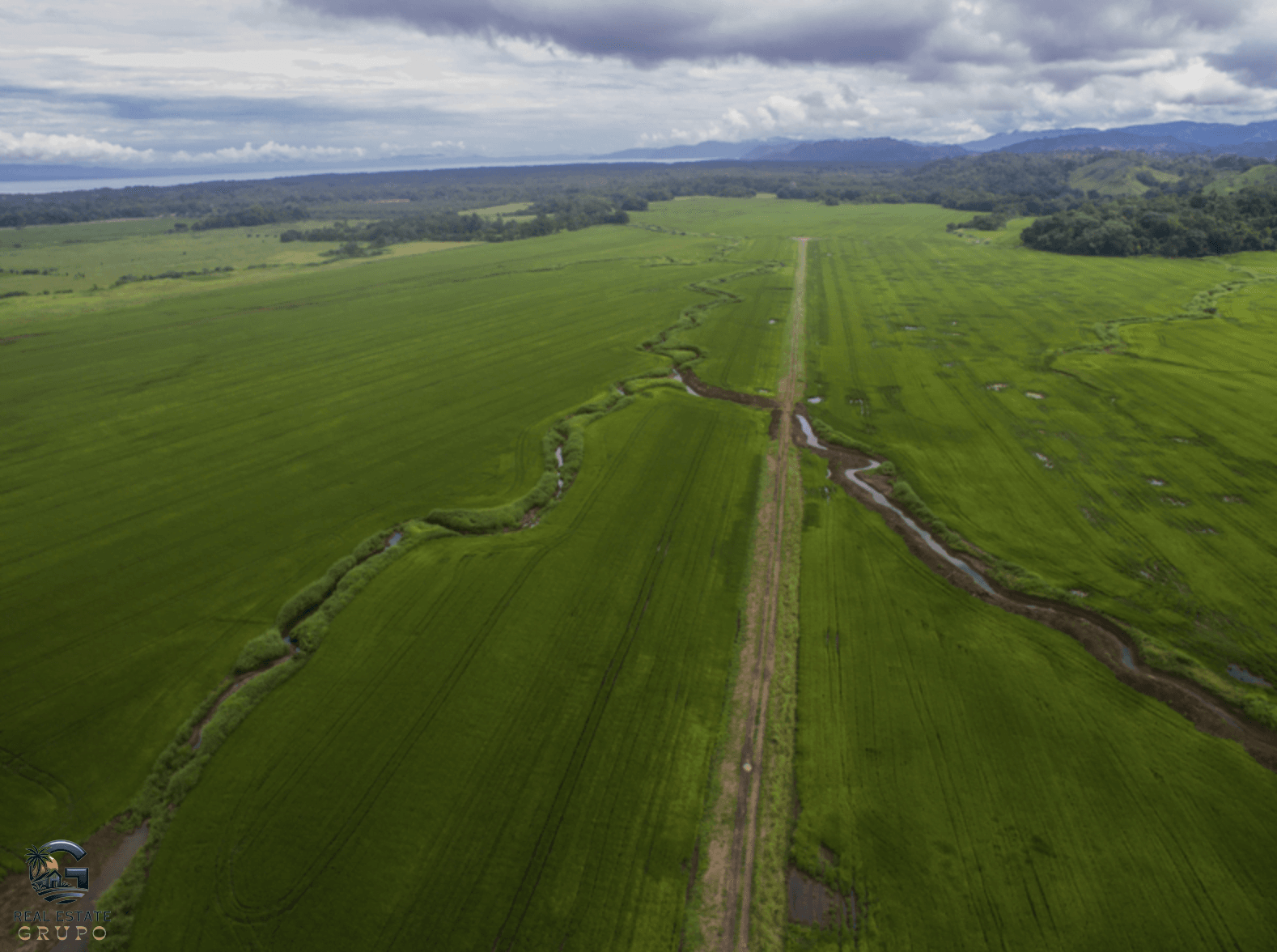 Screenshot 2024-02-05 at 17.08.45