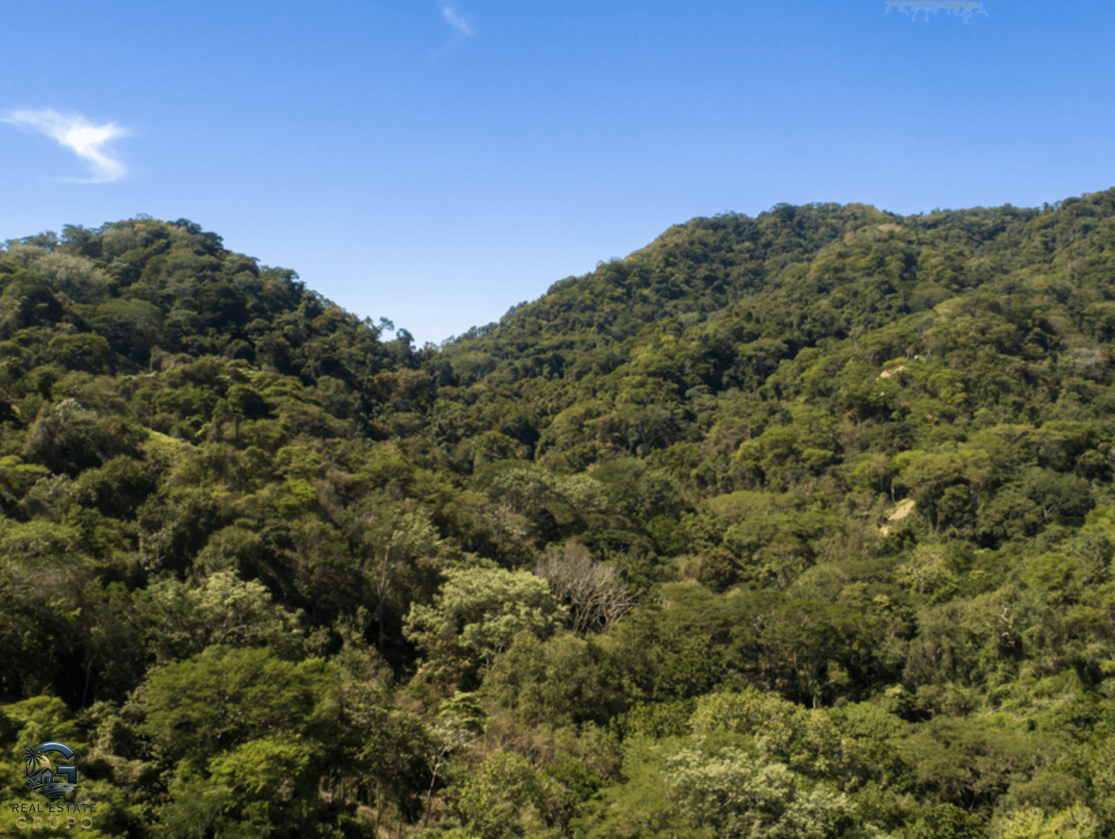 Screenshot 2024-02-05 at 17.20.57