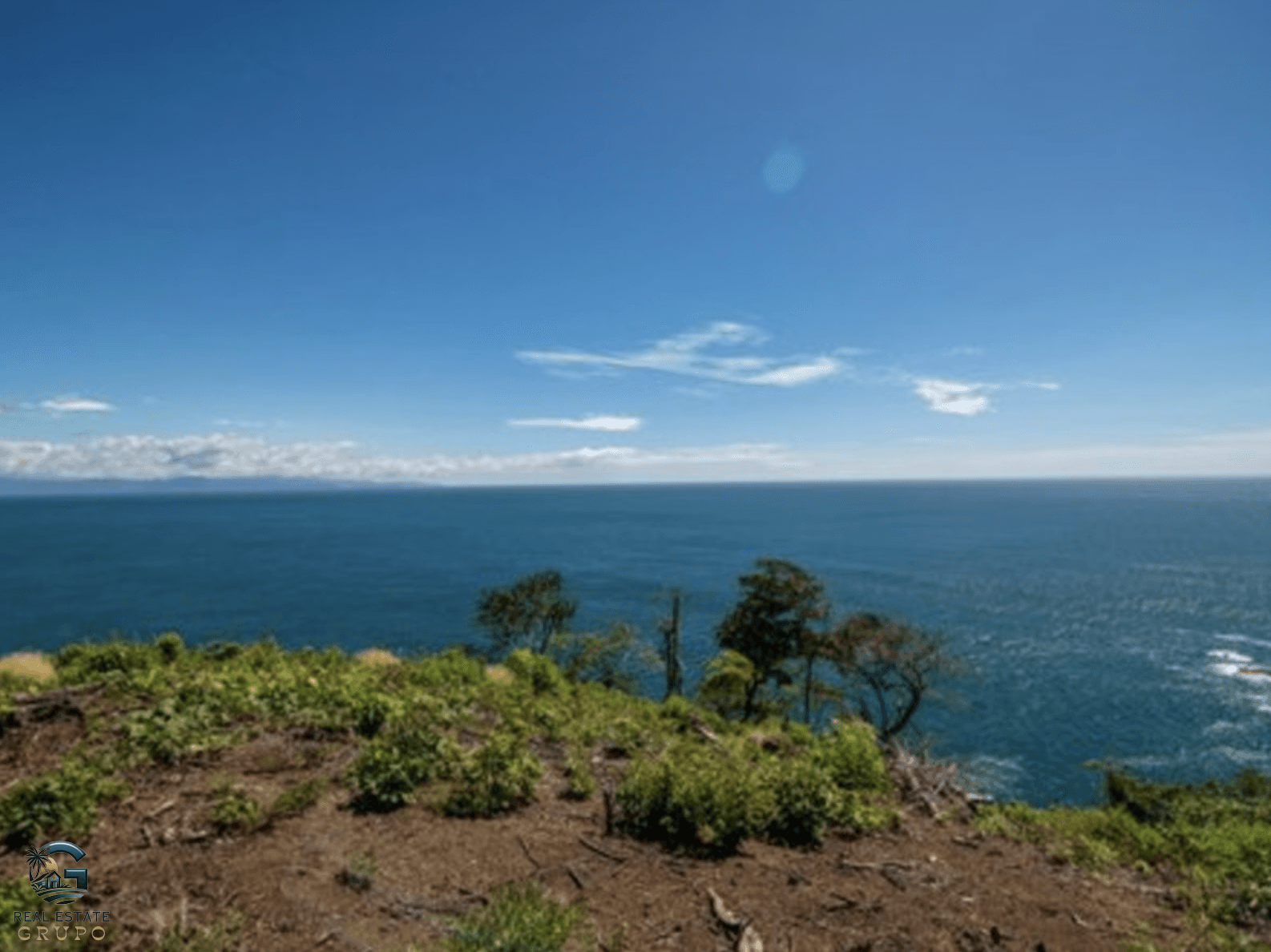 Screenshot 2024-02-05 at 17.21.32