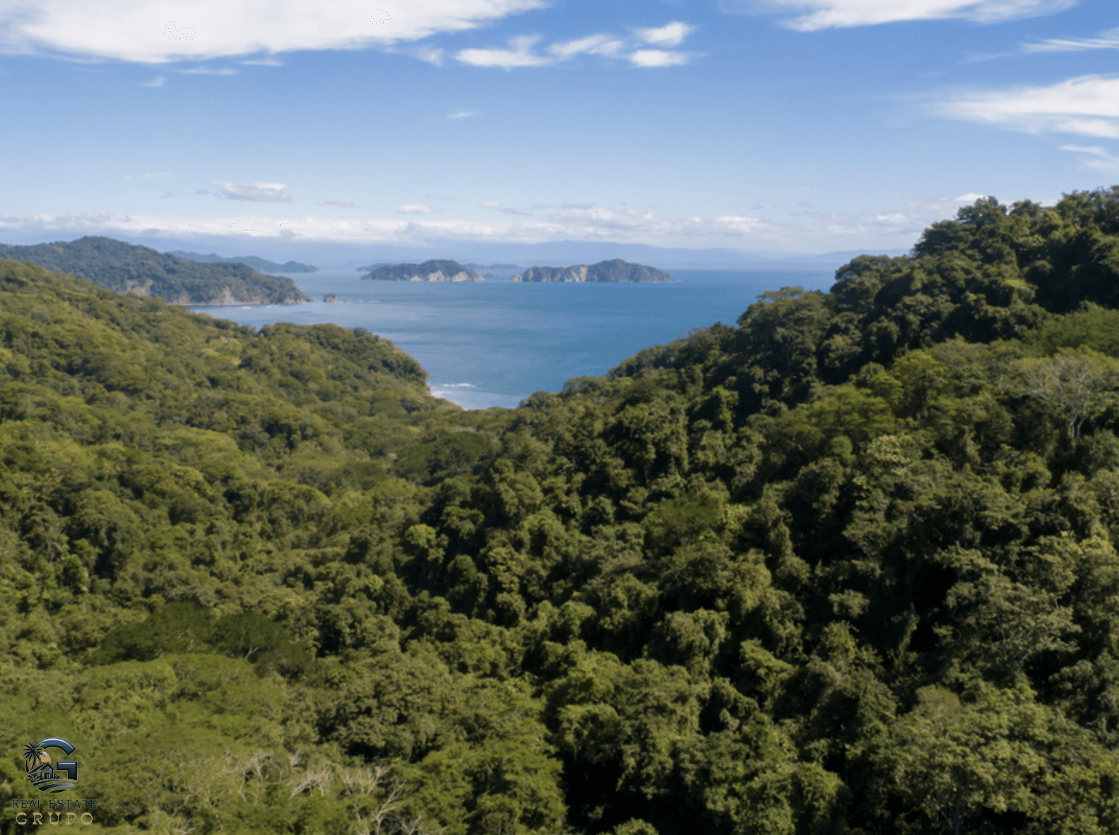 Screenshot 2024-02-05 at 17.21.45