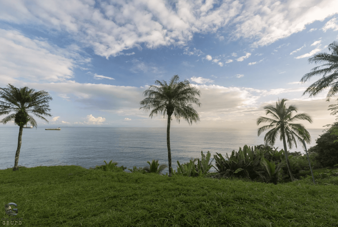 Screenshot 2024-02-06 at 08.49.38