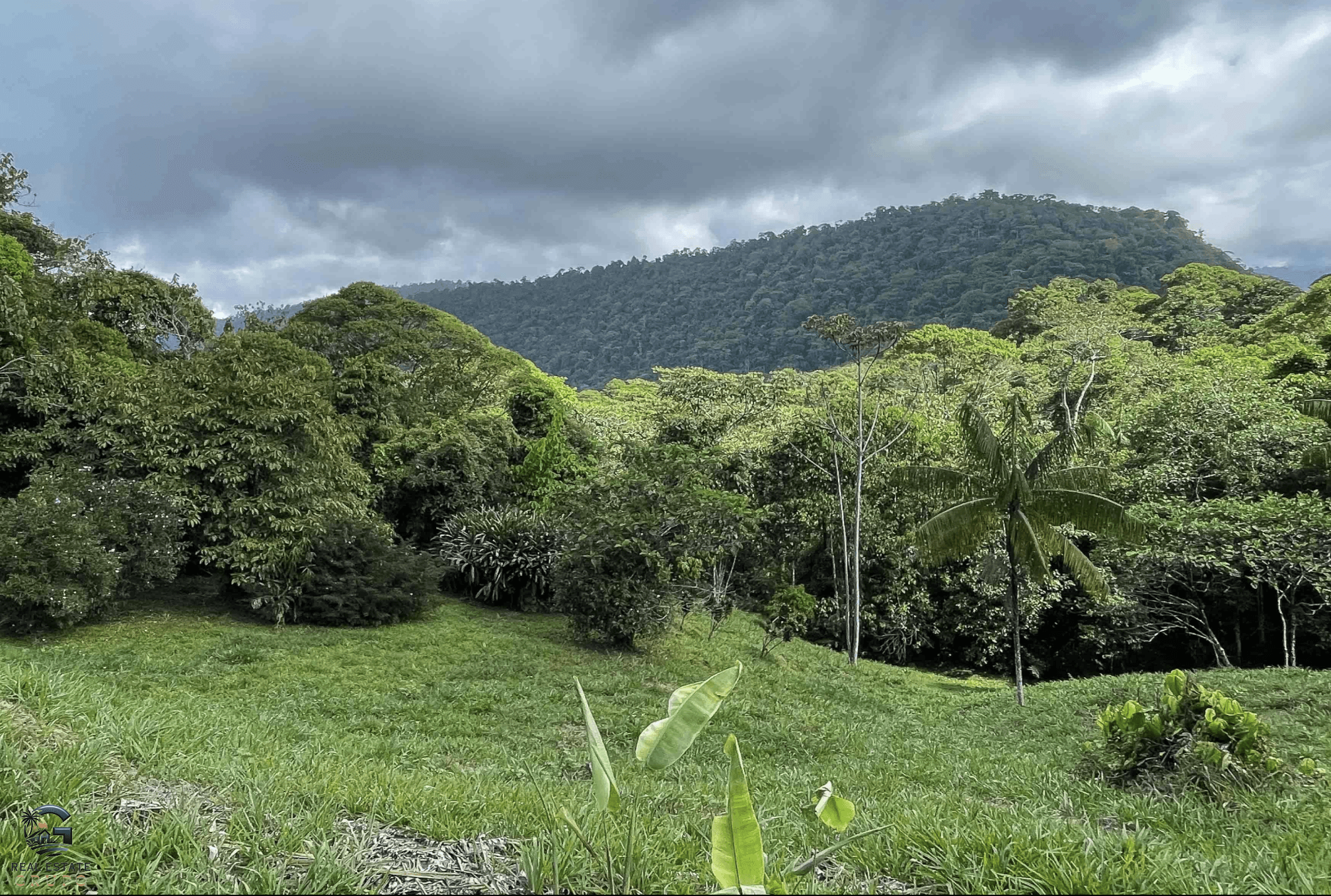 Screenshot 2024-02-06 at 10.05.06