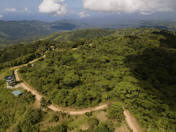 Screenshot 2024-02-06 at 10.05.15