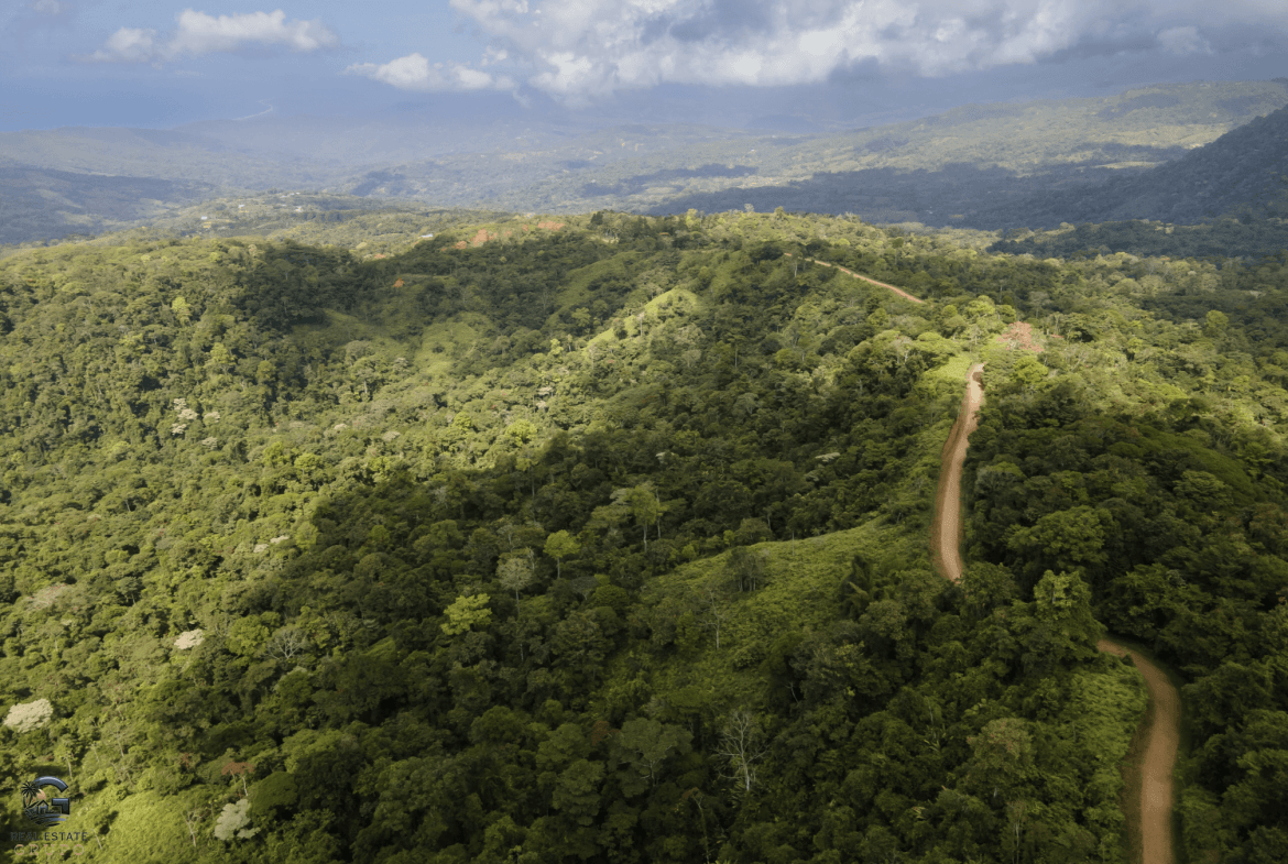 Screenshot 2024-02-06 at 10.05.28