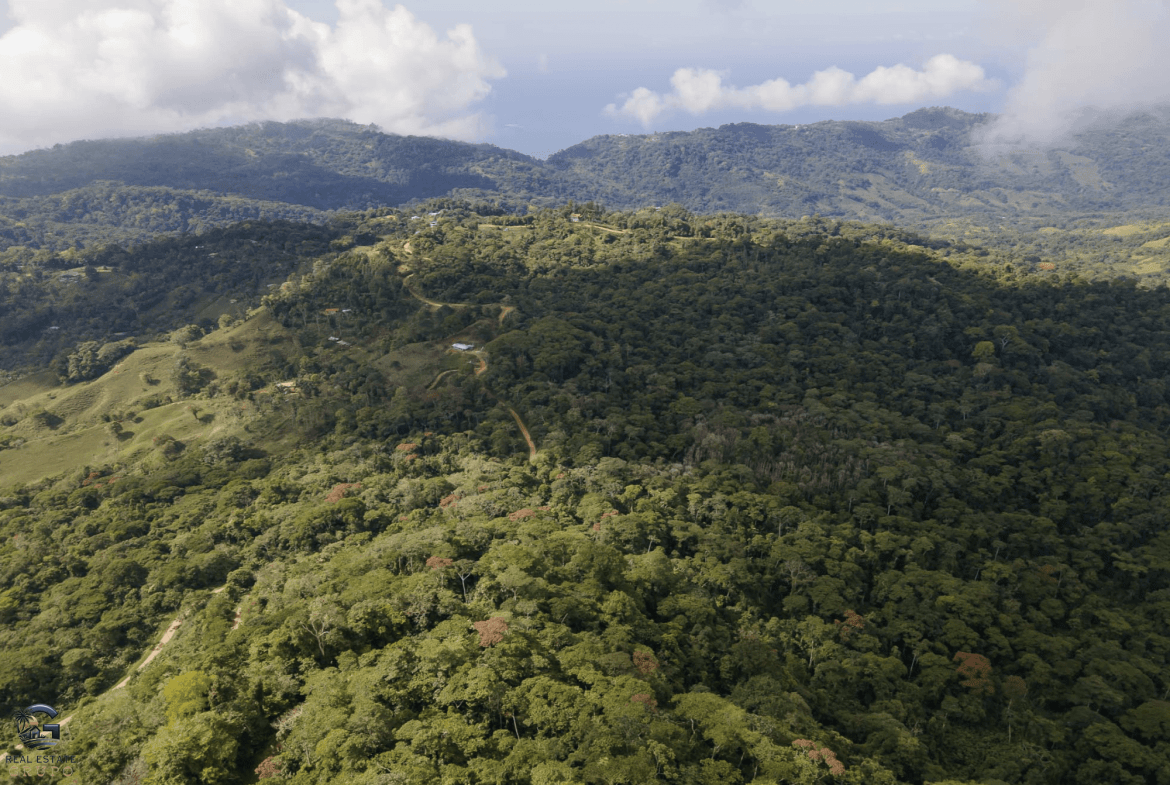 Screenshot 2024-02-06 at 10.05.44