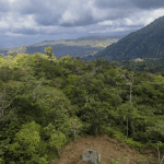 Screenshot 2024-02-06 at 10.13.34