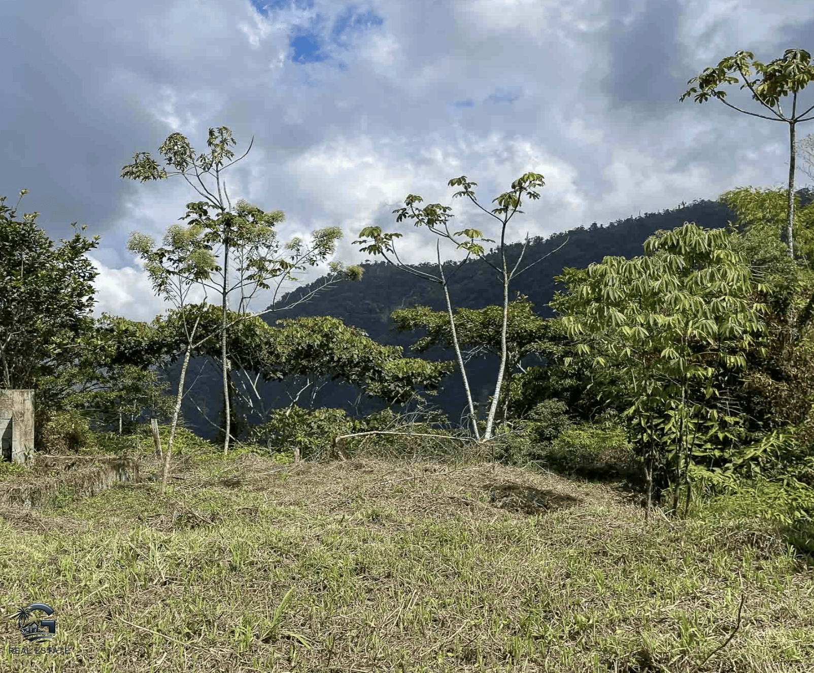 Screenshot 2024-02-06 at 10.14.20