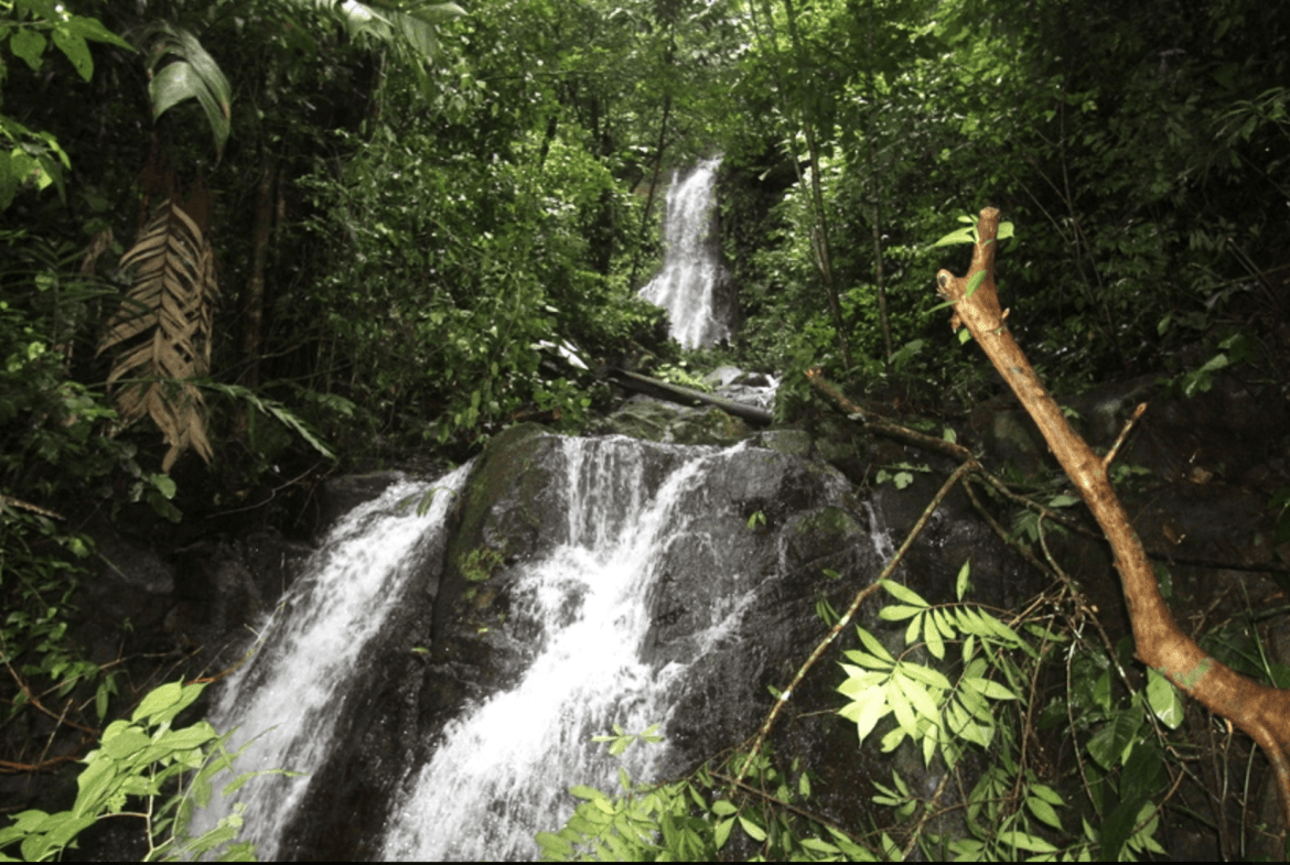 Screenshot 2024-02-06 at 10.30.41