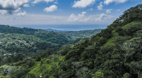 Screenshot 2024-02-06 at 10.30.53