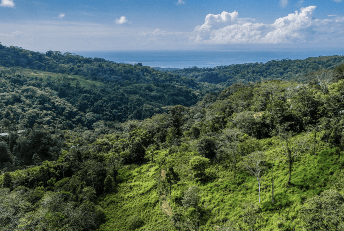 Screenshot 2024-02-06 at 10.30.58