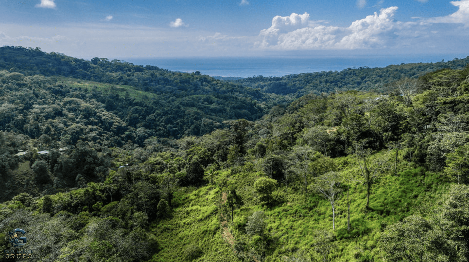 Screenshot 2024-02-06 at 10.30.58