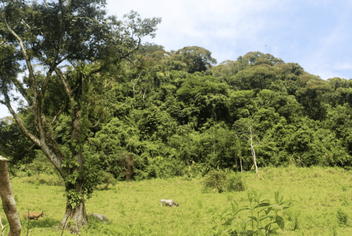 Screenshot 2024-02-06 at 10.31.11