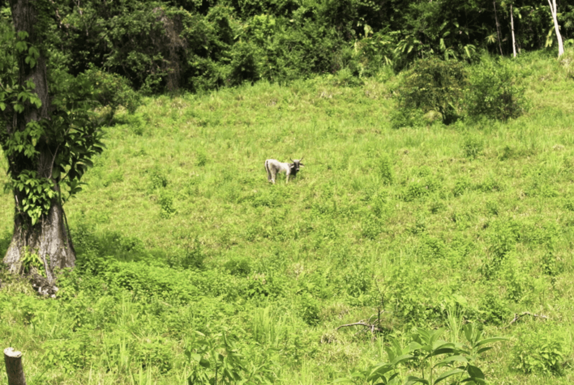 Screenshot 2024-02-06 at 10.31.17