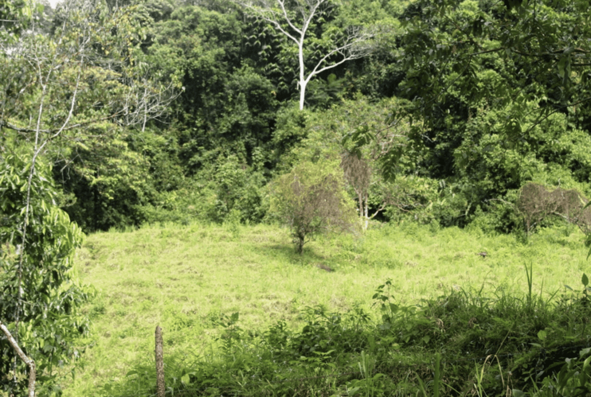 Screenshot 2024-02-06 at 10.31.22