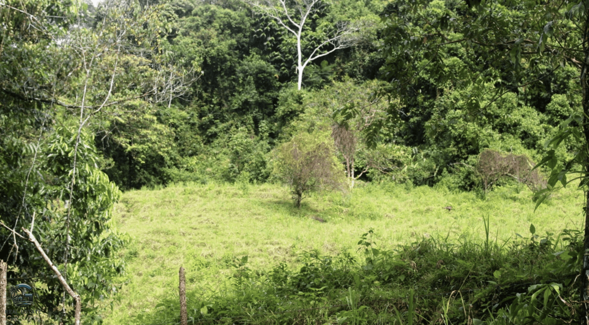 Screenshot 2024-02-06 at 10.31.22