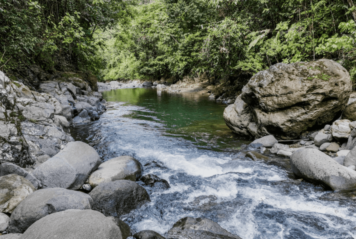 Screenshot 2024-02-06 at 10.31.48