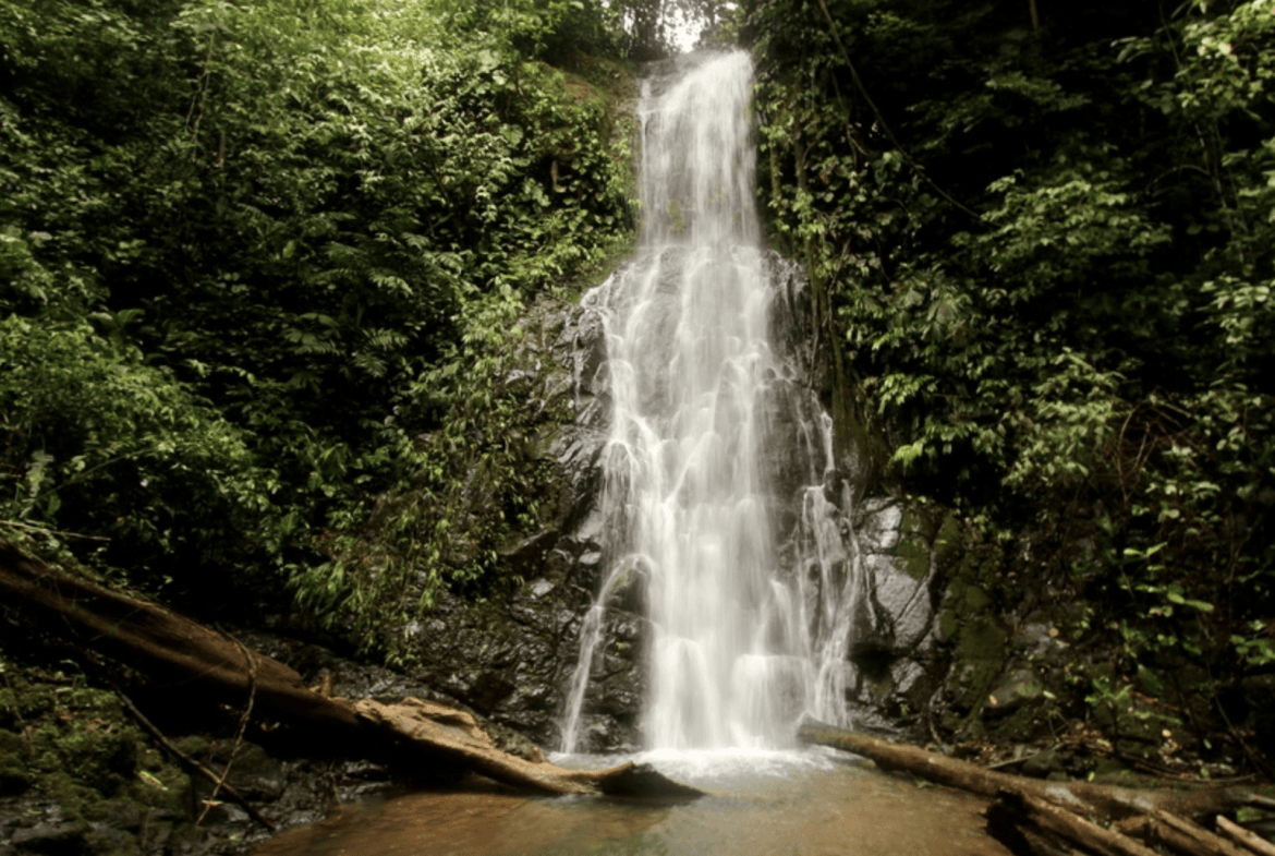 Screenshot 2024-02-06 at 10.31.54