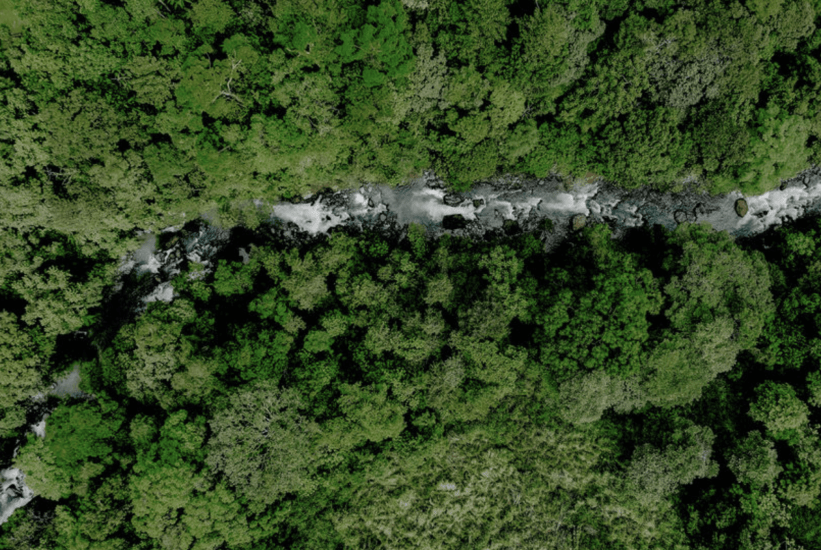 Screenshot 2024-02-06 at 10.32.01