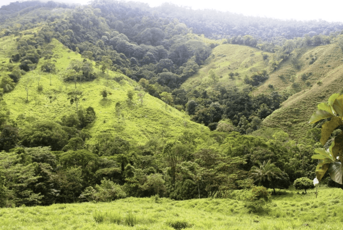 Screenshot 2024-02-06 at 10.32.07