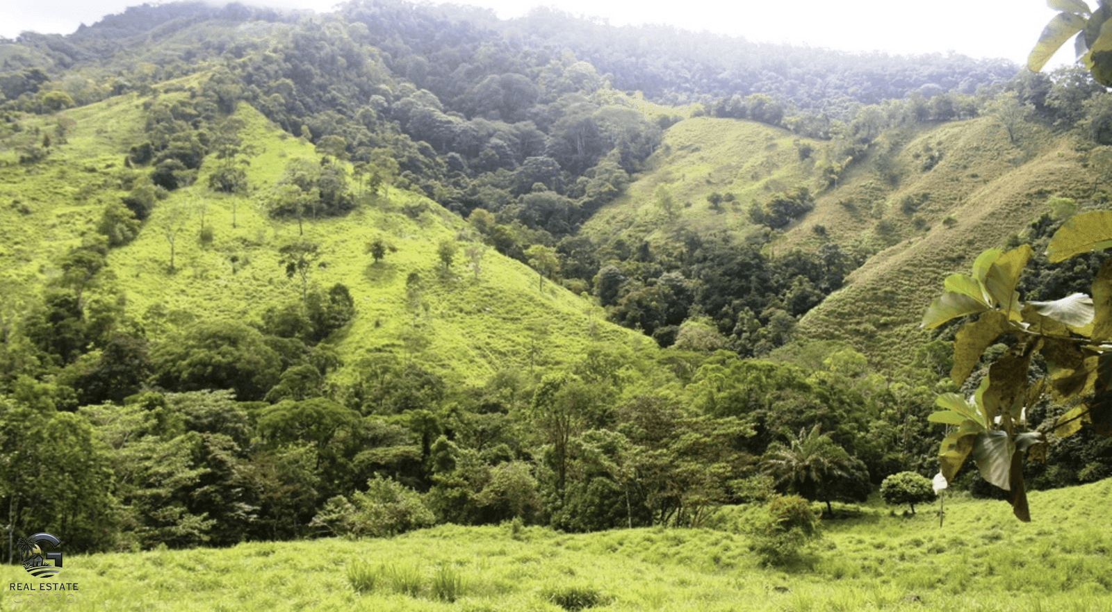 Screenshot 2024-02-06 at 10.32.07