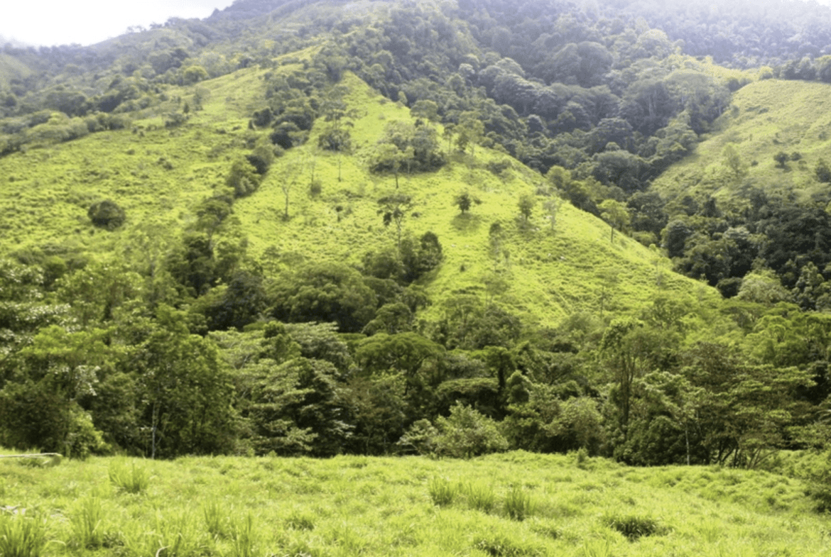 Screenshot 2024-02-06 at 10.32.13