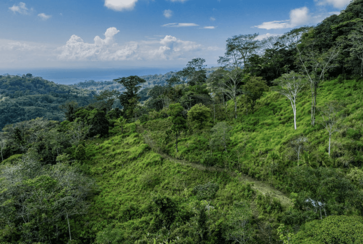 Screenshot 2024-02-06 at 10.32.21