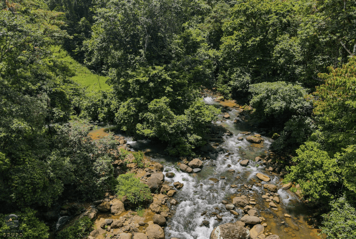 Screenshot 2024-02-06 at 10.42.29