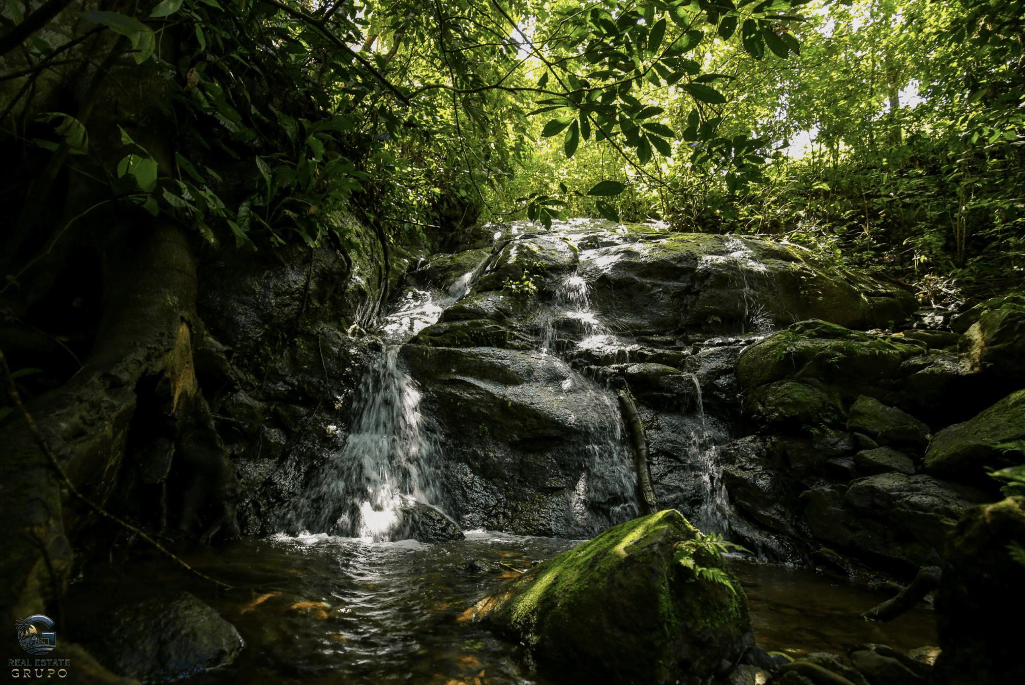 Screenshot 2024-02-06 at 14.30.32