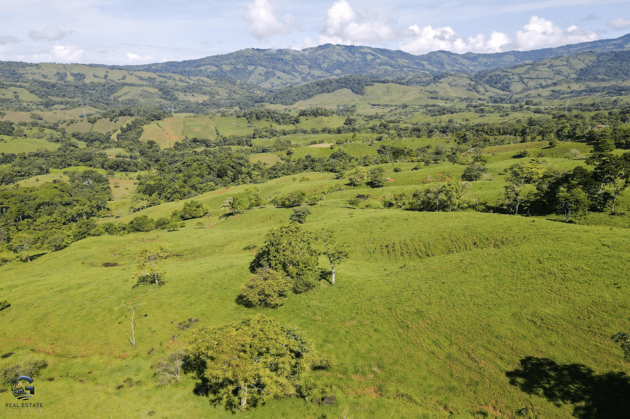 Screenshot 2024-02-06 at 14.30.58