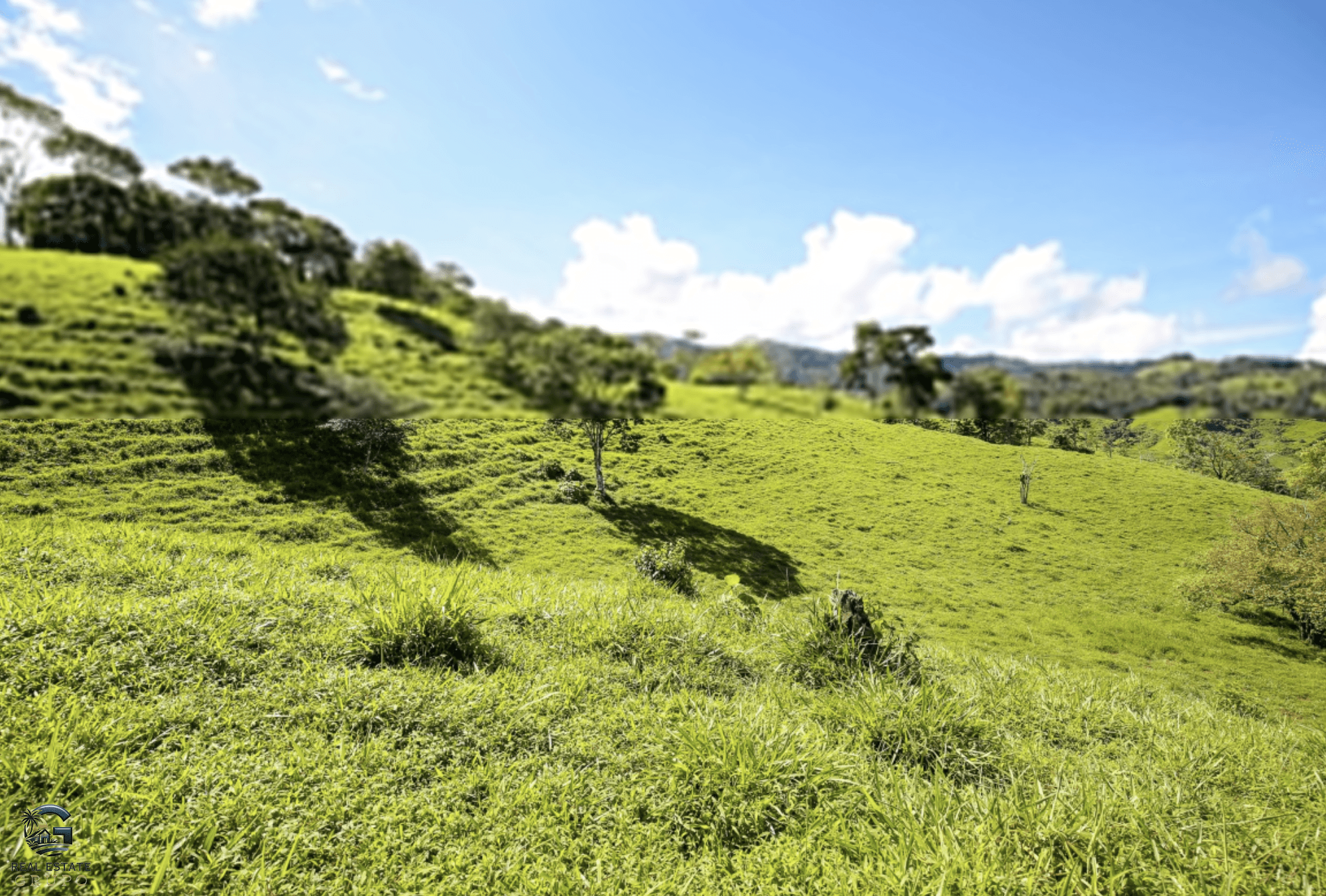 Screenshot 2024-02-06 at 14.31.04