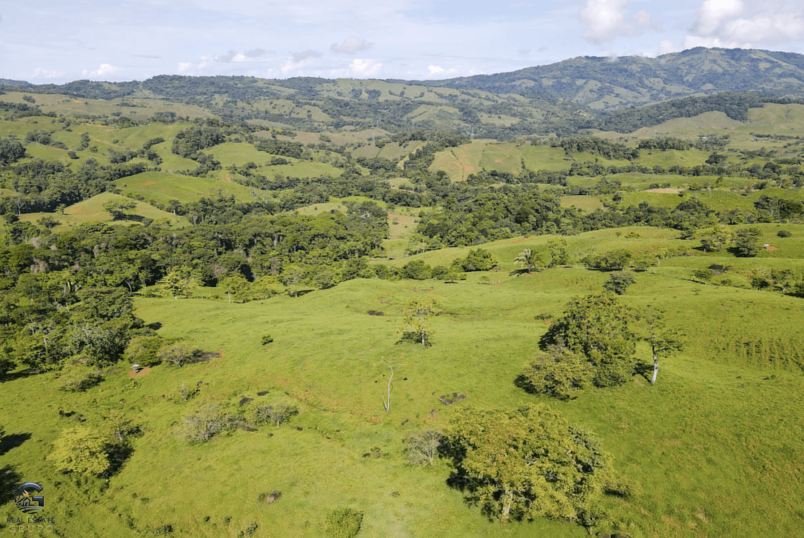 Screenshot 2024-02-06 at 14.31.16