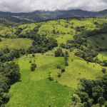 Screenshot 2024-02-06 at 14.31.34