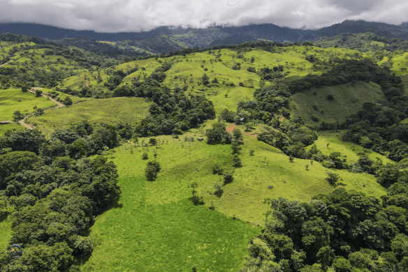 Screenshot 2024-02-06 at 14.31.34