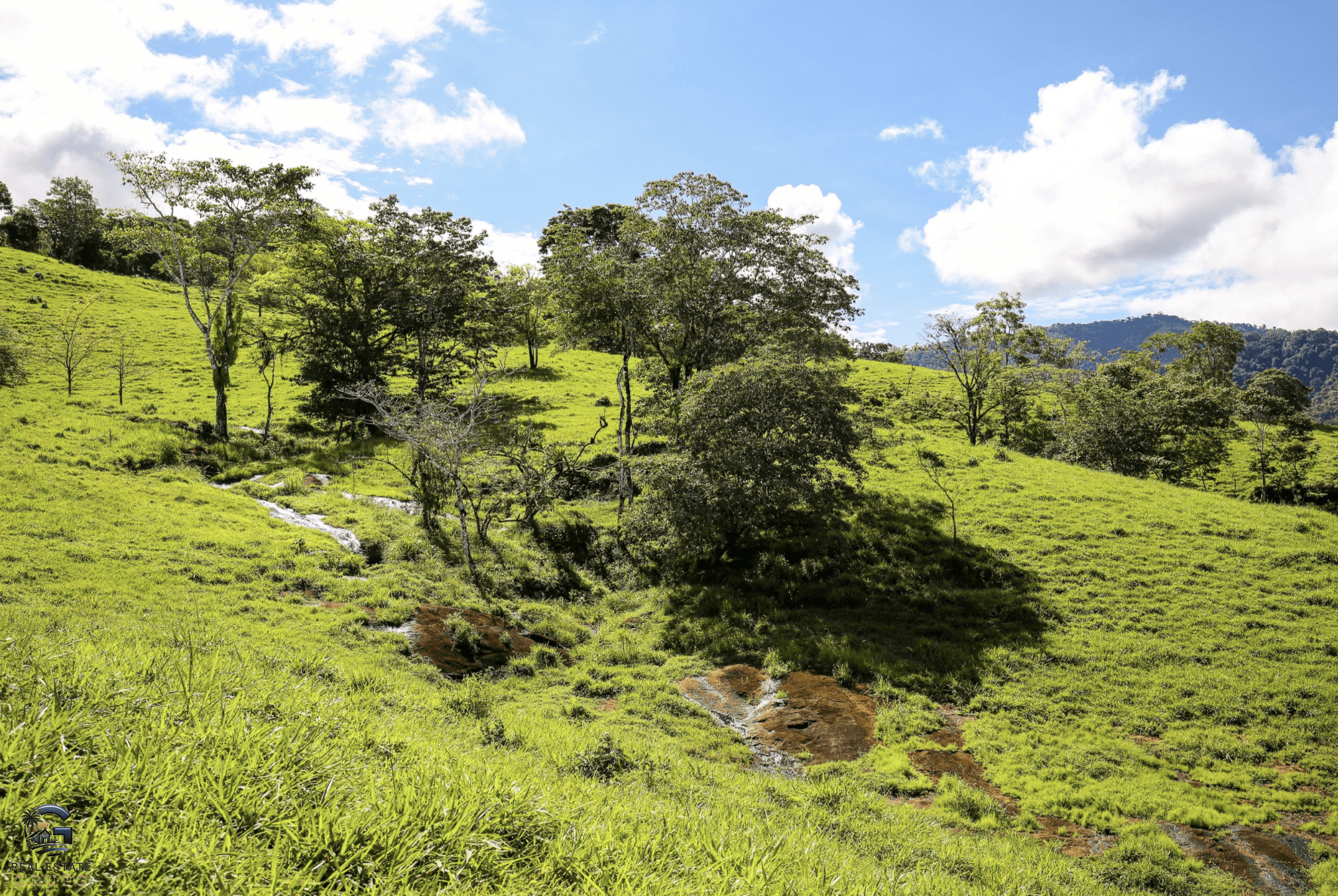 Screenshot 2024-02-06 at 14.31.51