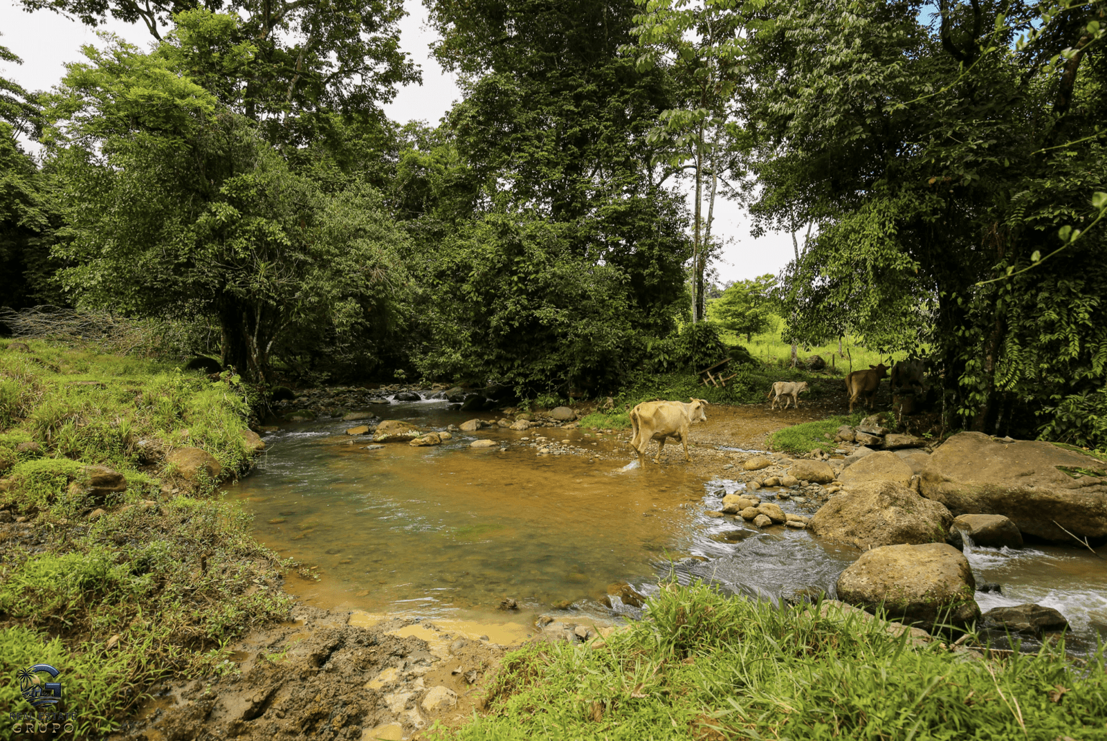 Screenshot 2024-02-06 at 14.32.04