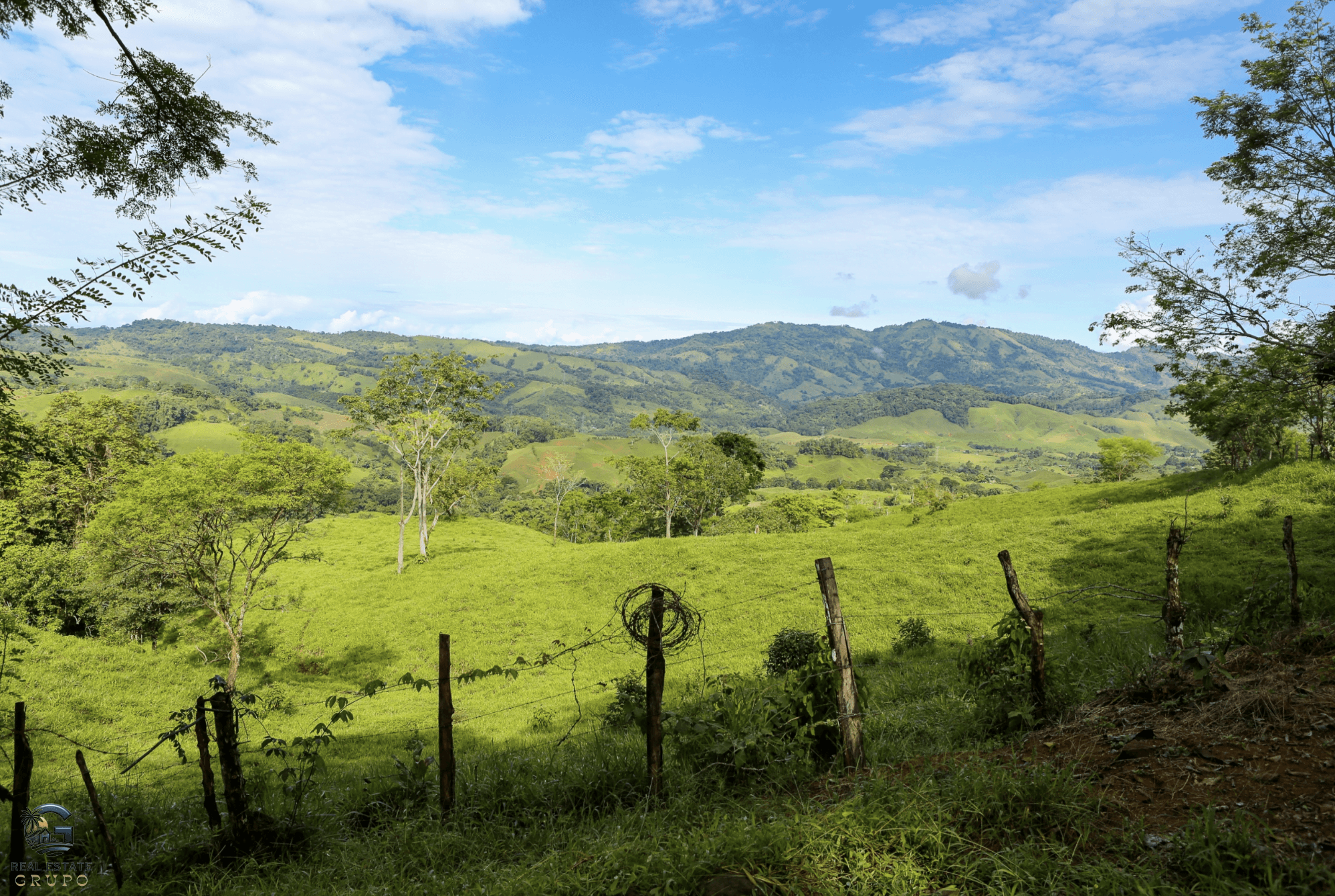 Screenshot 2024-02-06 at 14.32.10