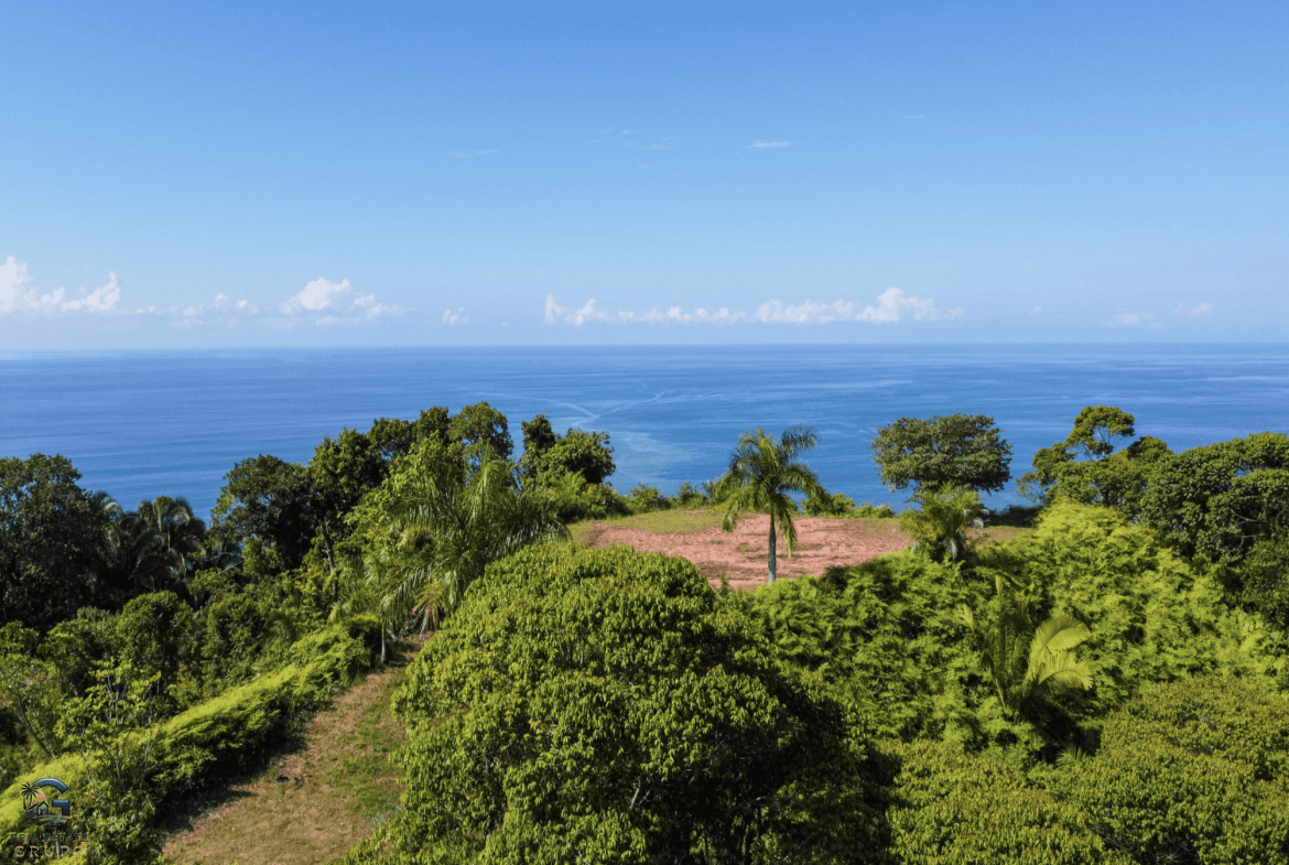 Screenshot 2024-02-06 at 14.42.07