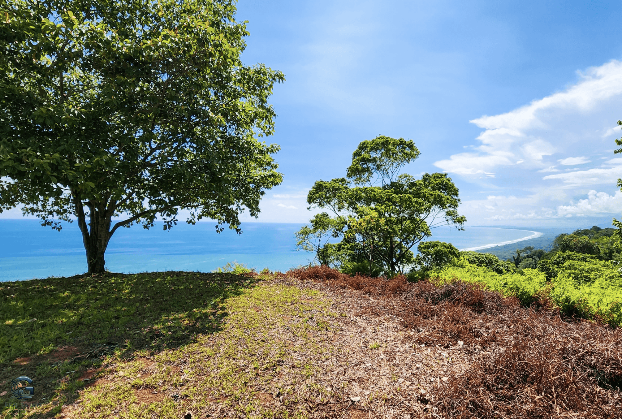 Screenshot 2024-02-06 at 14.42.21