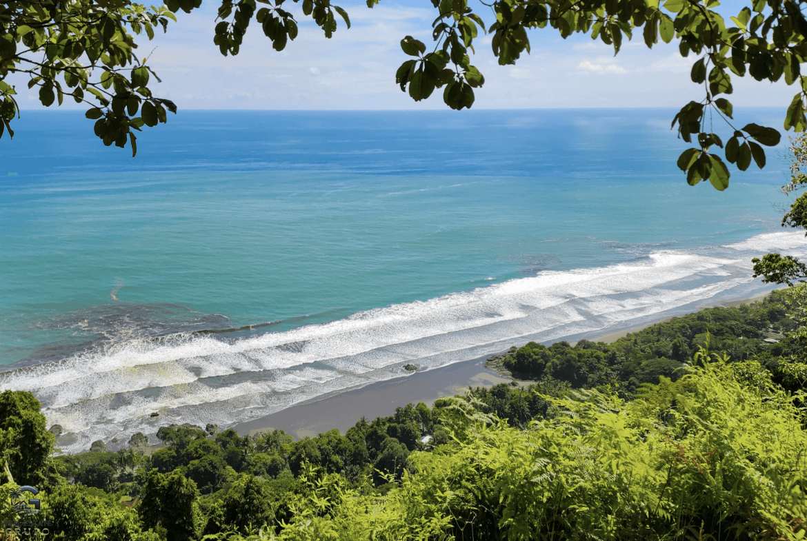 Screenshot 2024-02-06 at 14.42.36