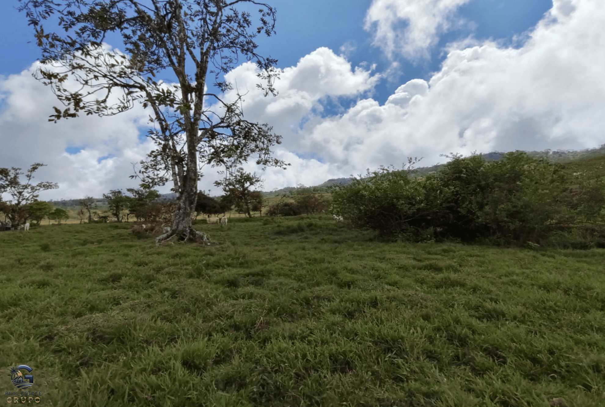 Screenshot 2024-02-06 at 14.54.40