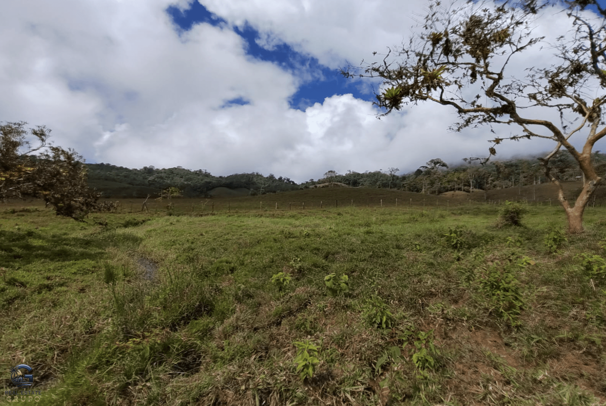 Screenshot 2024-02-06 at 14.54.47