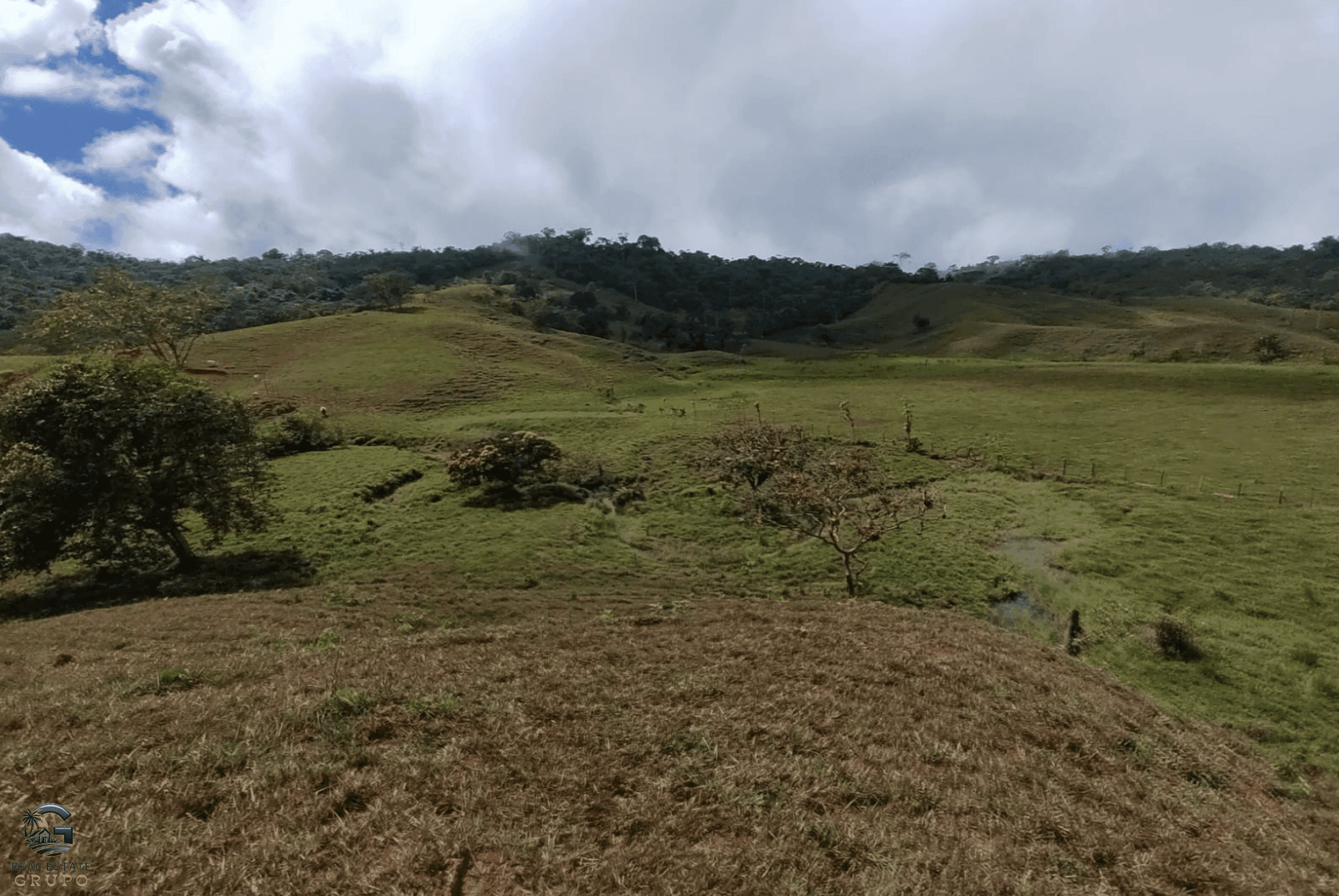 Screenshot 2024-02-06 at 14.54.59