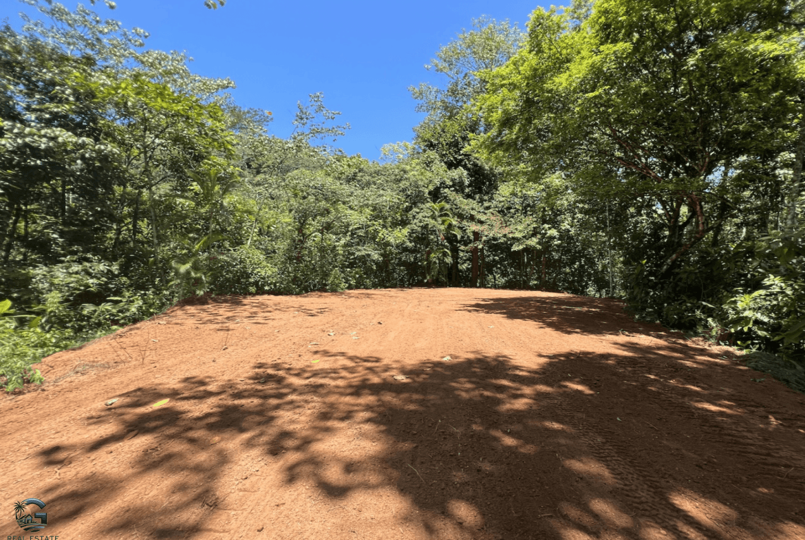 Screenshot 2024-02-06 at 15.04.13