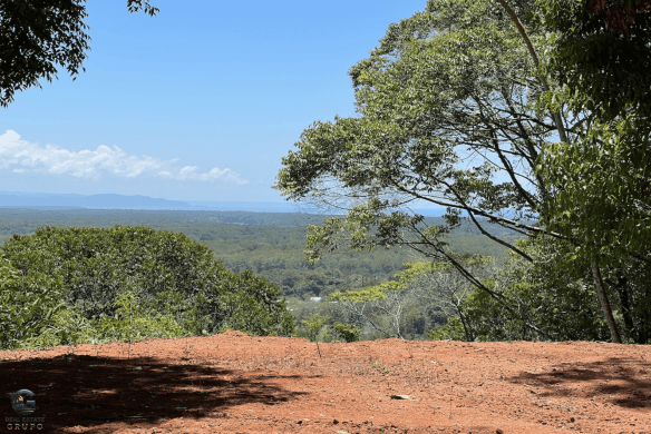 Screenshot 2024-02-06 at 15.04.30