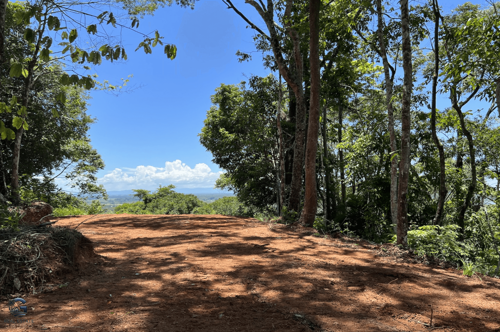 Screenshot 2024-02-06 at 15.04.39