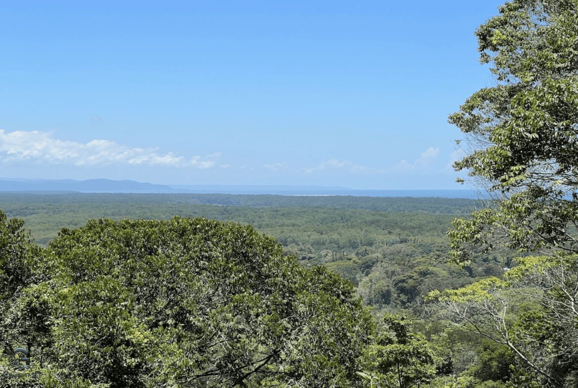 Screenshot 2024-02-06 at 15.05.01