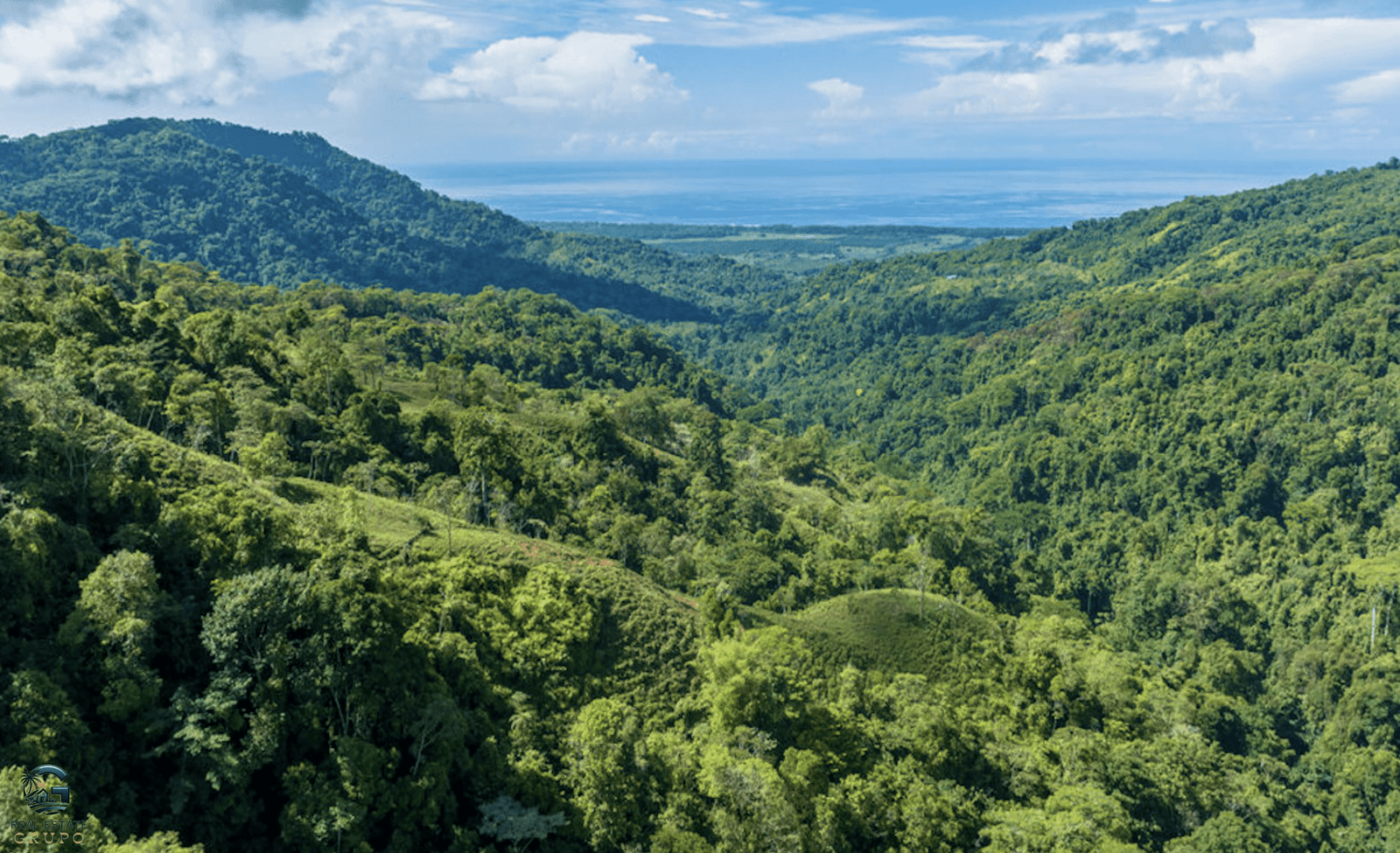 Screenshot 2024-02-06 at 15.28.26