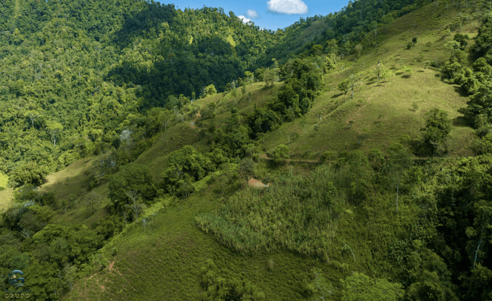 Screenshot 2024-02-06 at 15.28.59